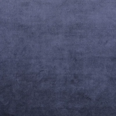 MONARCH INDIGO thumbnail 2