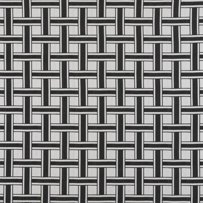 KARO SAFI — MONOCHROME swatch, view 1