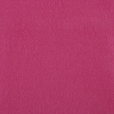 Monterey Fuchsia thumbnail 2