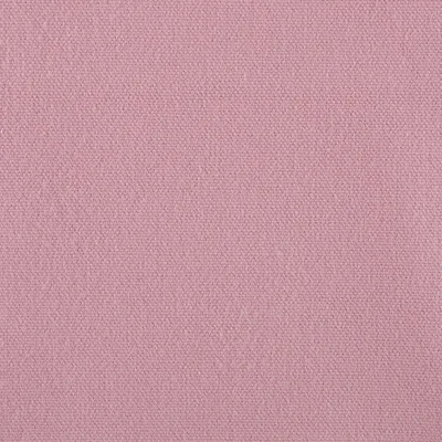 Monterey Rose thumbnail 2