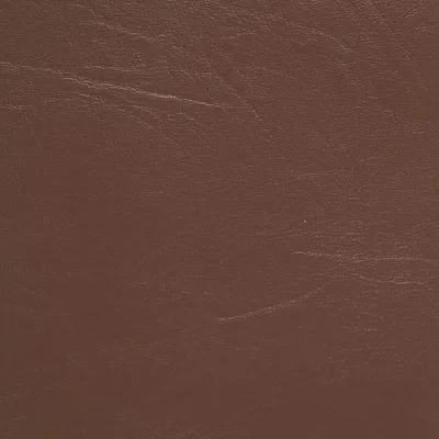 MUNDIAL BROWN swatch