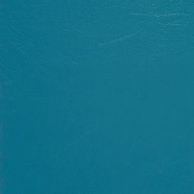 MUNDIAL CANARD thumbnail 2