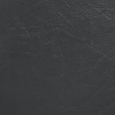 MUNDIAL CHARBON swatch