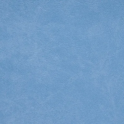 MUNDIAL MYOSOTIS — MUNDIAL swatch, view 1