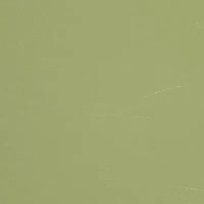 MUNDIAL OLIVE swatch