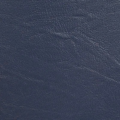 MUNDIAL SAPHIR swatch