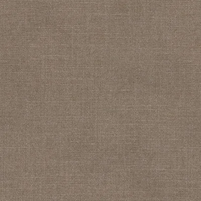 NEVADA FOSSILITE thumbnail 3