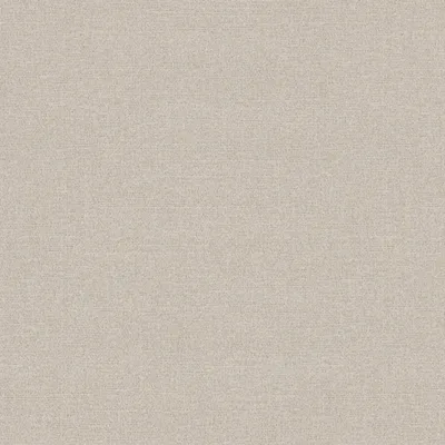 NEVADA SNOW thumbnail 3