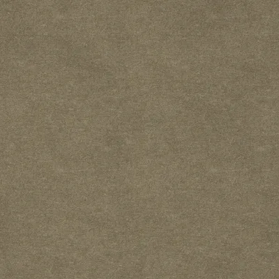 SOLNA CATKIN thumbnail 3