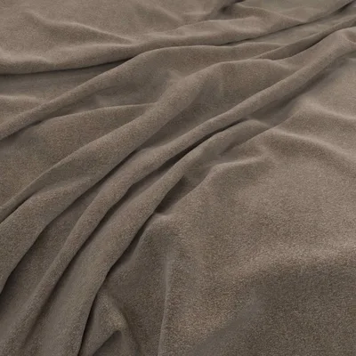 SOLNA FOSSIL thumbnail 2