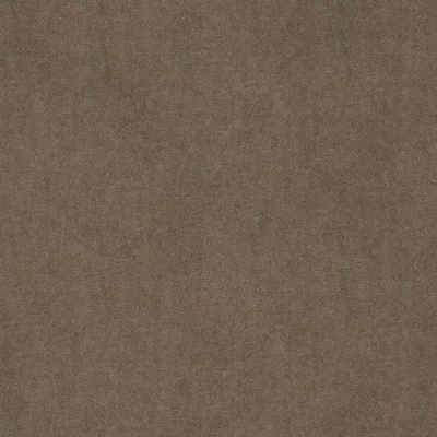 SOLNA FOSSIL thumbnail 3