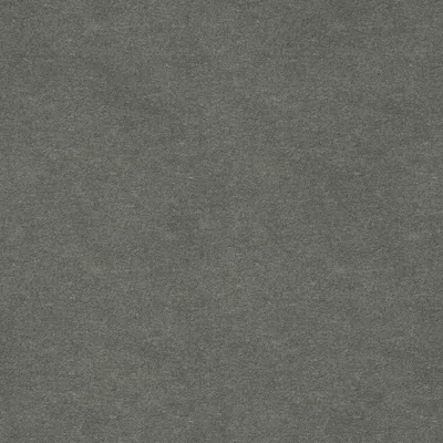 SOLNA LICHEN thumbnail 3