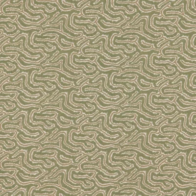 NOYACK KELP thumbnail 3