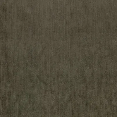 Lafayette Olive thumbnail 2