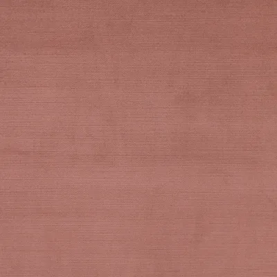 Vogue Rosehip thumbnail 3