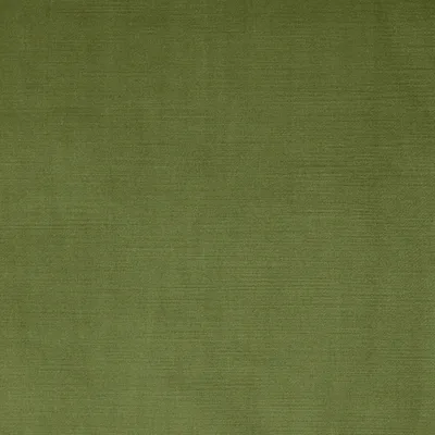 Vogue Vine thumbnail 3