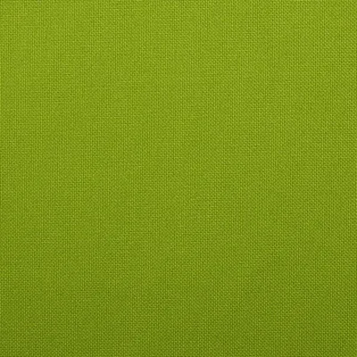 KONA LIME thumbnail 2