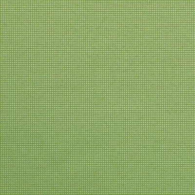 NOOSA LIME thumbnail 2