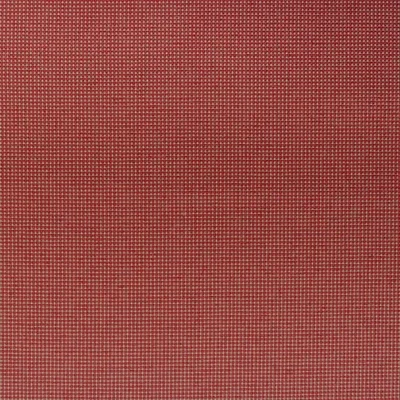 NOOSA LOBSTER swatch