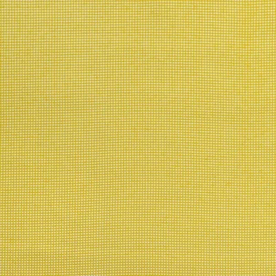 NOOSA SUNSHINE swatch