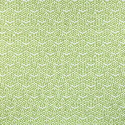 AVOCA LIME thumbnail 2