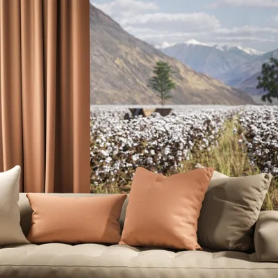 OXFORD BLUSH thumbnail 4