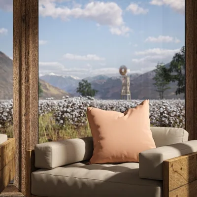 OXFORD BLUSH thumbnail 5