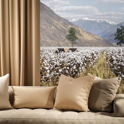 OXFORD BUTTER thumbnail 4