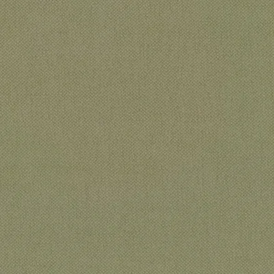 OXFORD CELERY thumbnail 3