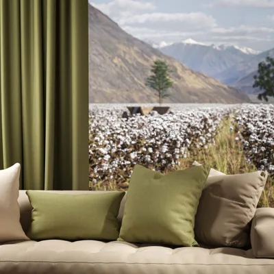 OXFORD CELERY thumbnail 4