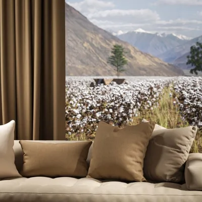 OXFORD CHINO thumbnail 4