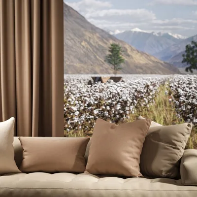 OXFORD DESERT thumbnail 4