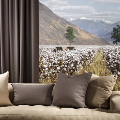 OXFORD DOVE thumbnail 4