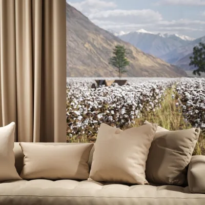 OXFORD ECRU thumbnail 4