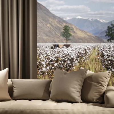 OXFORD FLAX thumbnail 4