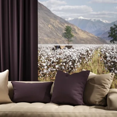 OXFORD HEATHER thumbnail 4