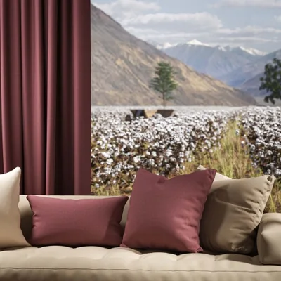 OXFORD HYACINTH thumbnail 4