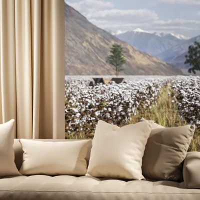 OXFORD IVORY thumbnail 4