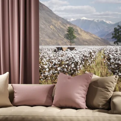 OXFORD LAVENDER thumbnail 4