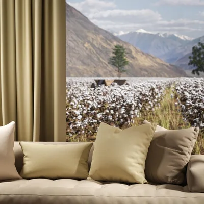 OXFORD LEMONGRASS thumbnail 4