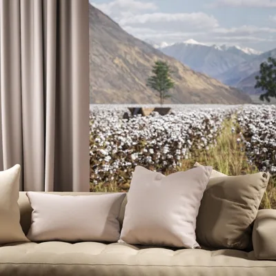 OXFORD MIST thumbnail 4