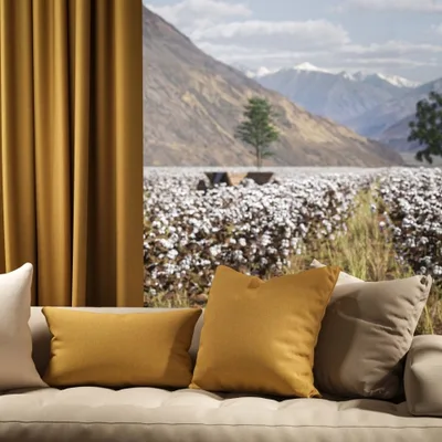 OXFORD MUSTARD thumbnail 4