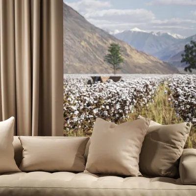 OXFORD NATURAL thumbnail 4