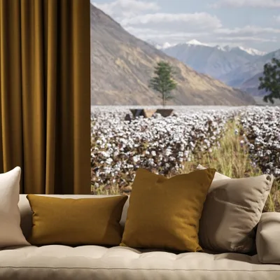 OXFORD OCHRE thumbnail 4