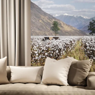 OXFORD OPTIC thumbnail 4