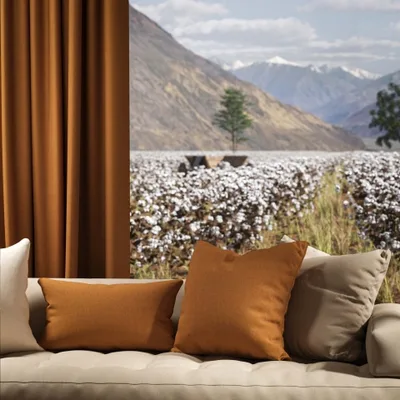 OXFORD SPICE thumbnail 3