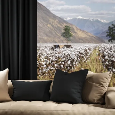 OXFORD THUNDER thumbnail 4