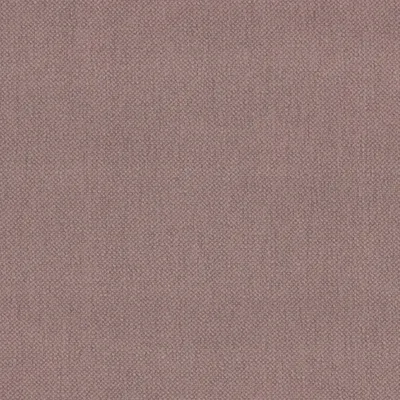 OXFORD VERBENA thumbnail 3