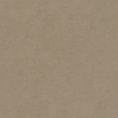 PAGANI CREME thumbnail 3