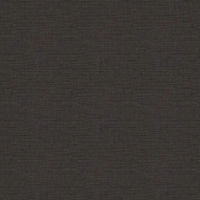 PARASOL COAL thumbnail 3